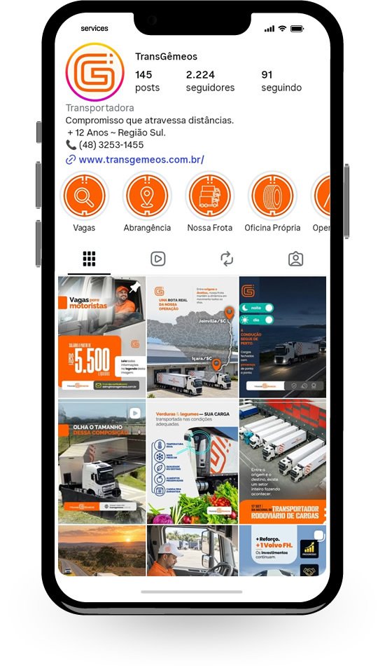 Exemplo de conteúdo desenvolvido para a TransGêmeos Transportes